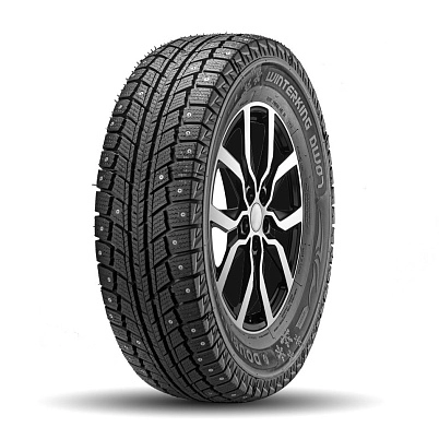 Шина DoubleStar DW07 Winterking 205/55 R16 91T