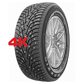 Maxxis Premitra Ice Nord NP5 